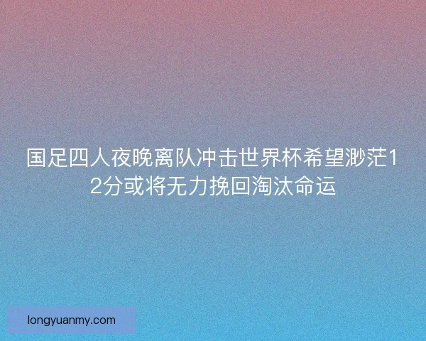 国足四人夜晚离队冲击世界杯希望渺茫12分或将无力挽回淘汰命运 国足四人夜晚离队冲击世界杯希望渺茫12分或将无力挽回淘汰命运